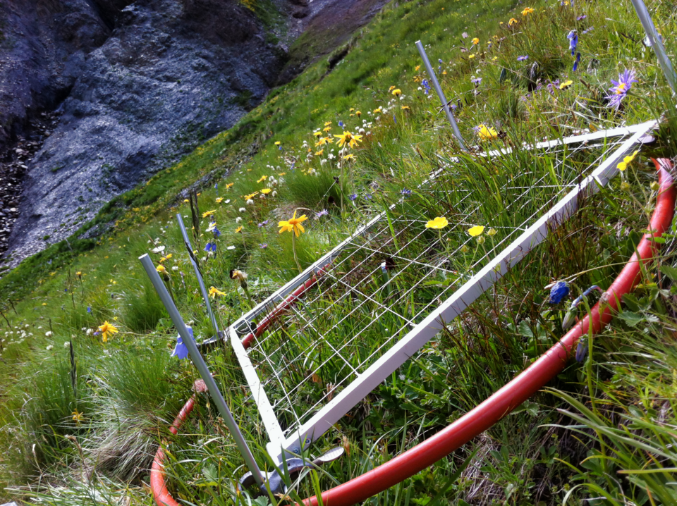 field experiment